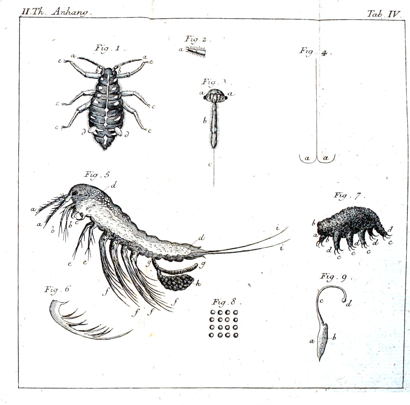 An eighteenth-century engraved plate headed with a chapter abbreviation at the upper left and a table number at the upper right, inside a ruled border. Nine numbered figures of microscopic animals and their parts are arranged across it, each lettered. Figure 7, at the right, shows a stubby humped bristly creature on short clawed legs. The other figures show a mite-like animal, a long-tailed larva, a copepod with egg sacs and long setae, a feathered appendage, a grid of round eggs, and a hooked structure.