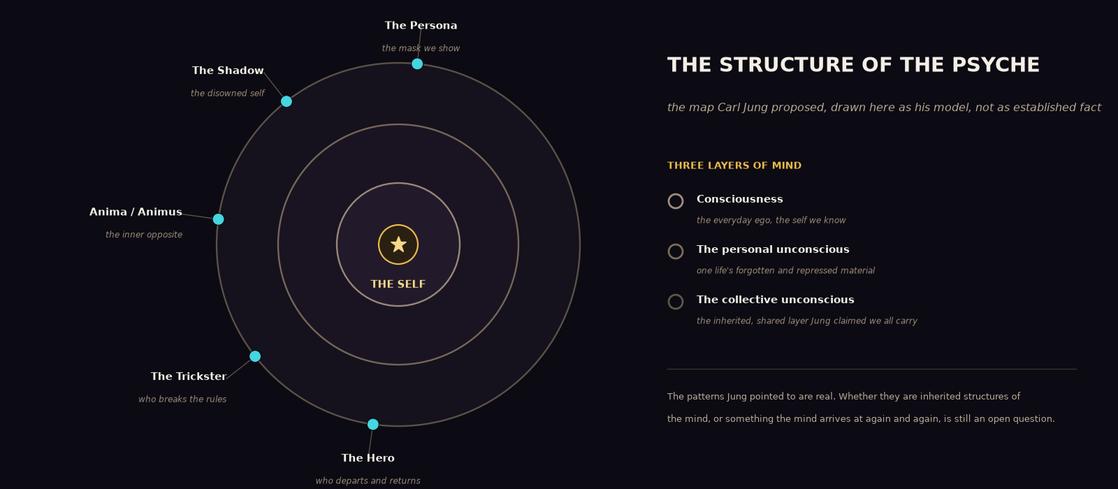 An original diagram of Jung's model of the psyche: three concentric rings labelled consciousness, the personal unconscious, and the collective unconscious, with a gold star marked 'The Self' at the centre and five archetypes, the Persona, Shadow, Anima or Animus, Trickster, and Hero, placed as nodes around the outer ring, beside a panel headed 'The Structure of the Psyche'