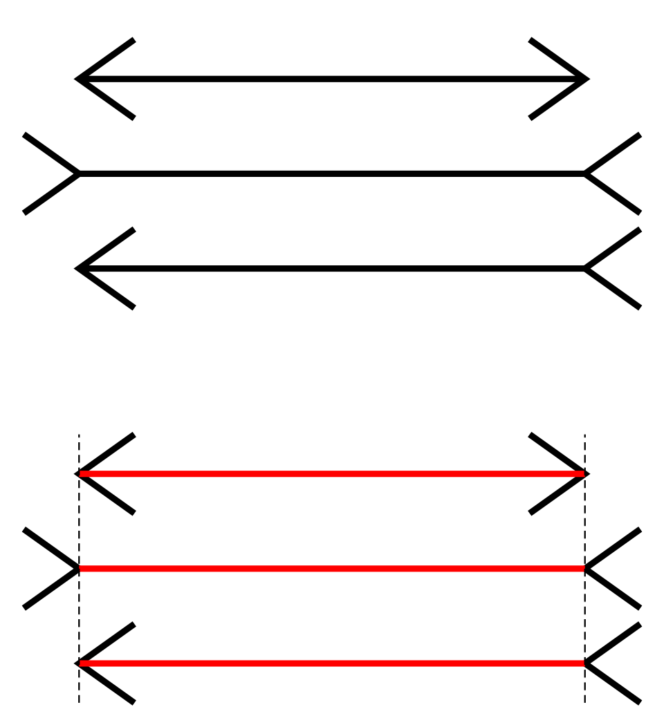 The Muller-Lyer illusion shown as a demonstration: at top, three black lines of identical length, each capped with fins (some pointing outward to make a line look longer, some inward to make it look shorter); at bottom, the same three lines drawn in red against dashed vertical guides, proving they are exactly equal
