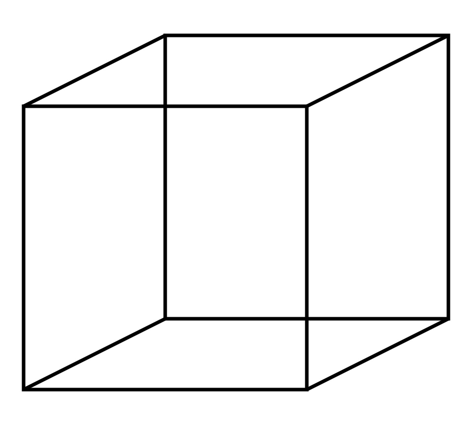 The Necker cube: a simple wireframe line drawing of a cube with no shading, which the eye can see as oriented two different ways and which spontaneously flips between them