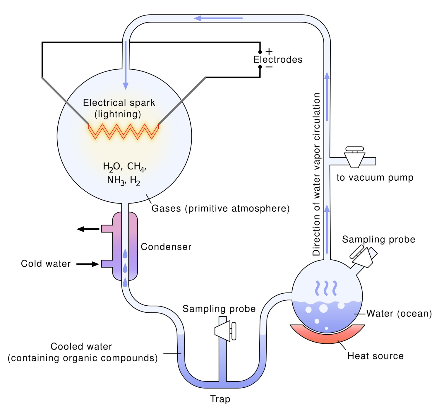 A labeled schematic of the Miller-Urey apparatus: an upper glass flask holding the gases water vapor, methane, ammonia and hydrogen with an electrical spark drawn as a red zigzag between two electrodes, connected by a condenser to a lower flask of water heated by a flame, with arrows showing the water vapor circulating around the loop