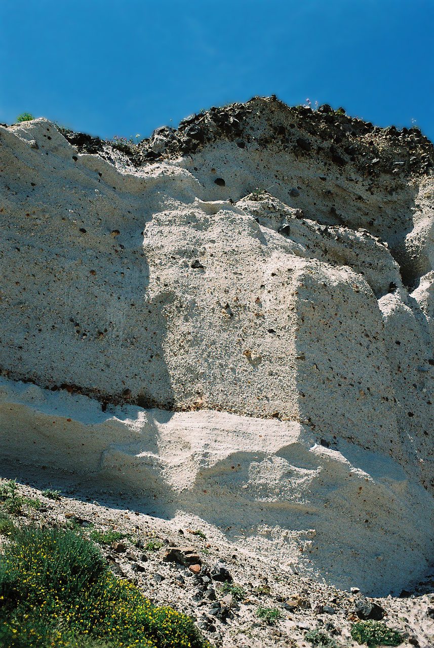 A tall cliff face of thick white pumice under a deep blue sky, dark rock fragments embedded through it, a darker rubbly layer capping the top and yellow flowering scrub at the foot