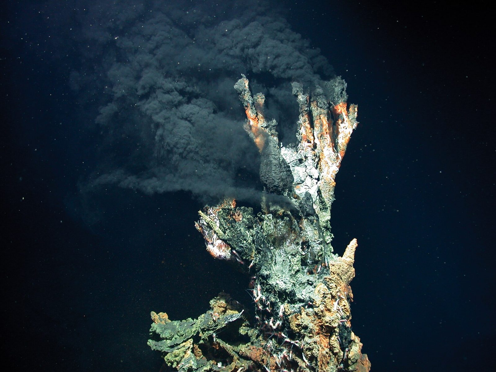 A craggy multi-spired sulphide chimney in green, rust-orange and grey, with dense black plumes billowing from several vents at its top, against near-black water full of drifting white particles caught in the lights. White filamentous growth clusters near the base.