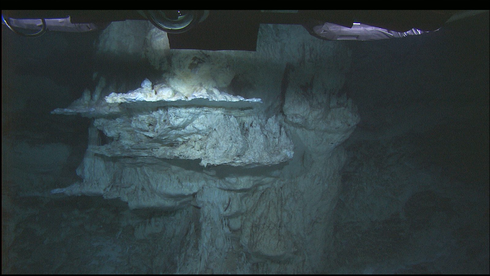 A pale chalky fluted structure under remotely operated vehicle lighting, with horizontal ledges and shelves and brighter cream-white cauliflower-like growths along the upper ledges, in dark greenish water. The frame and instruments of the vehicle itself are visible along the top edge of the picture.