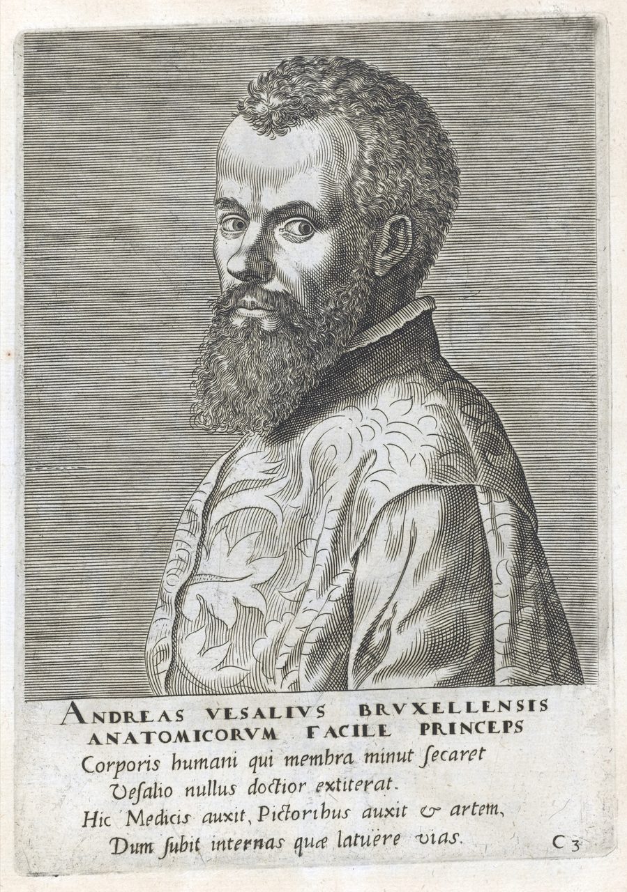 A sixteenth-century engraved portrait of Andreas Vesalius, printed with a Latin inscription.