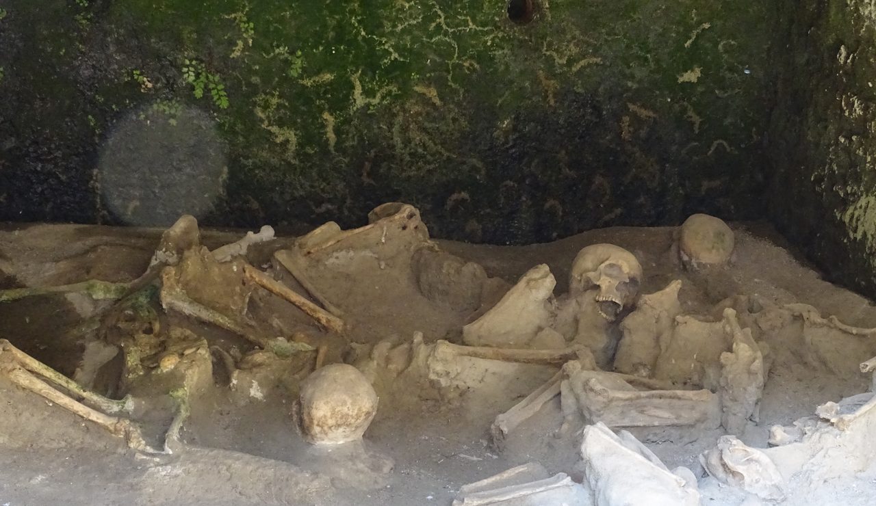 The vaulted stone boat chambers on the Herculaneum waterfront, containing in situ human skeletal remains