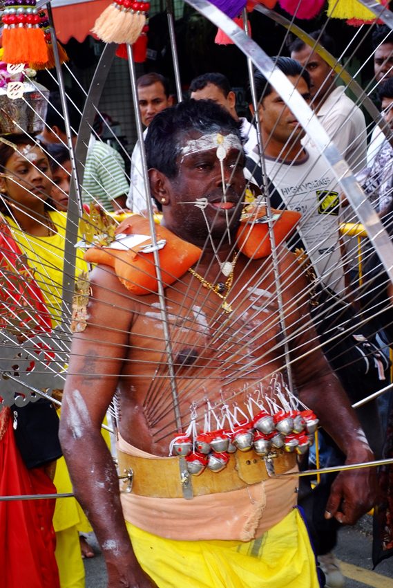 A bare chested devotee at Thaipusam carrying an arched steel kavadi frame on padded shoulder rests, a skewer driven through both cheeks, and a row of small bells hung from hooks set into the skin of his abdomen