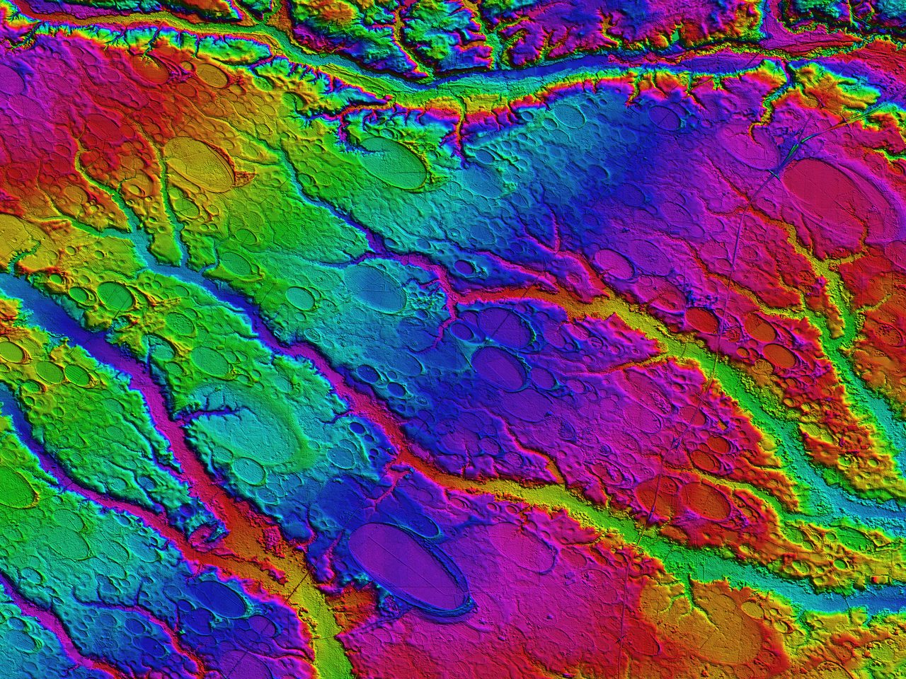 A LiDAR elevation map of Carolina bays near Rex, North Carolina, revealing the shallow elliptical depressions in the terrain